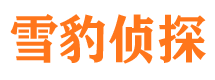 文圣市私家侦探